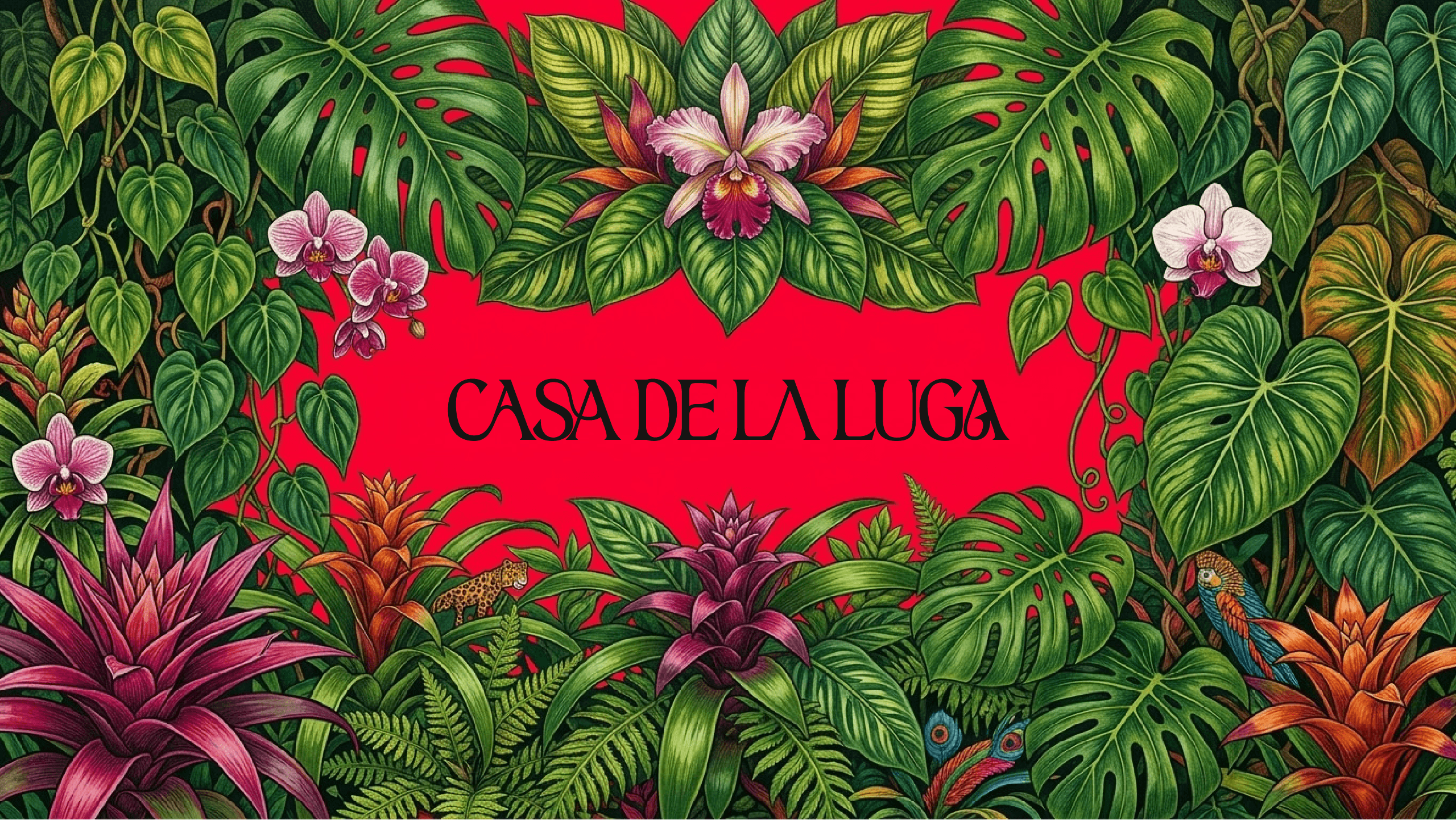 CASA DE LA LUGA
