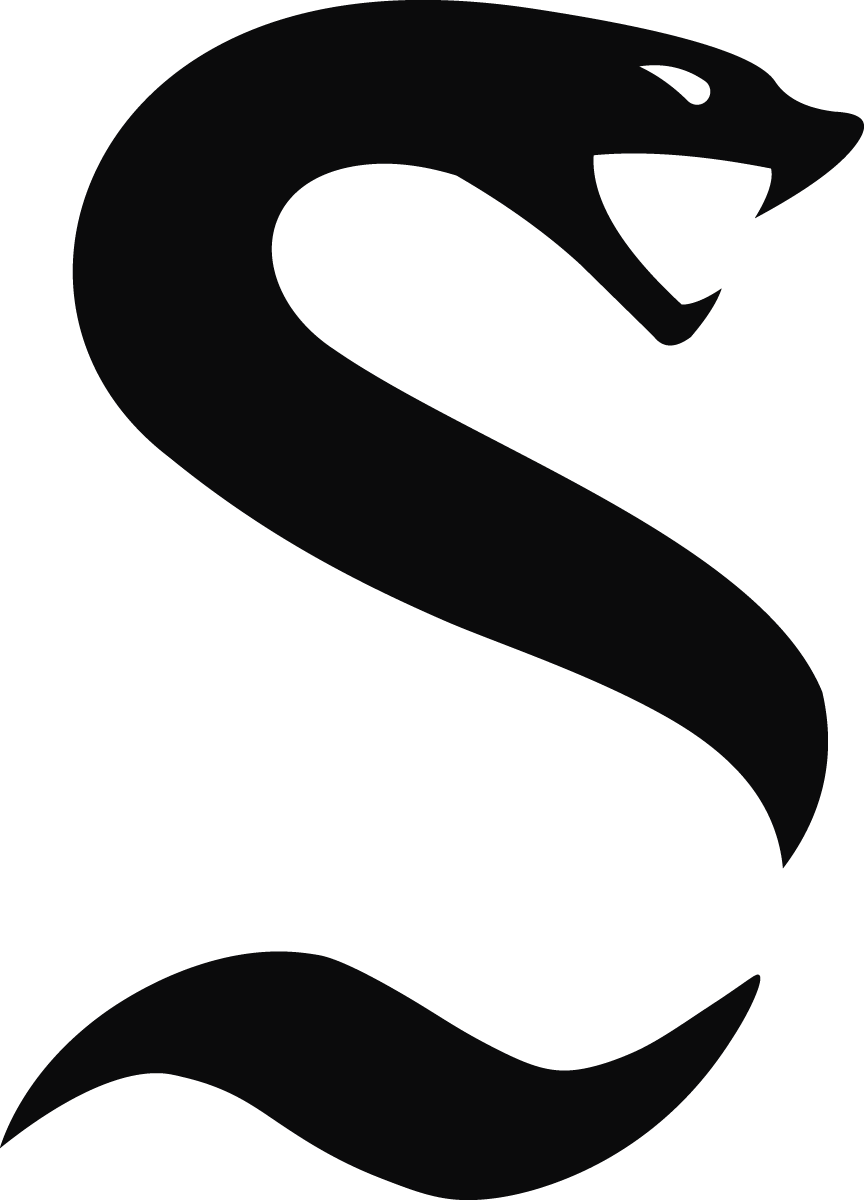 Logo 20